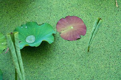 《Ad Infinitum》预购预告 9月14日正式发售